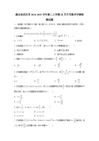 湖北省武汉市2024-2025学年高三上学期10月月考数学学情检测试题