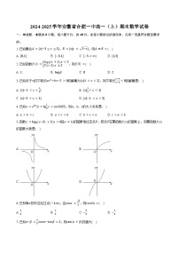 2024-2025学年安徽省合肥一中高一（上）期末数学试卷（含答案）