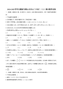 2024-2025学年安徽省马鞍山市含山二中高二（上）期末数学试卷（含答案）