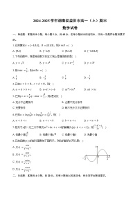 2024-2025学年湖南省益阳市高一（上）期末数学试卷（含答案）