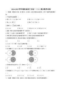 2024-2025学年青海省西宁市高一（上）期末数学试卷（含答案）