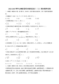 2024-2025学年云南省昆明市盘龙区高二（上）期末数学试卷（含答案）