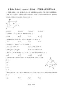 安徽省合肥市六校2024-2025学年高二上学期期末联考数学试卷（含答案）