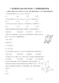 广东省惠州市2024-2025学年高二上学期期末数学试卷（含答案）