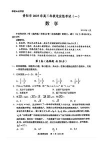 【贵州卷】贵州省贵阳市2025年高三年级下学期2月适应性考试（一）（贵阳一模）数学试卷+答案