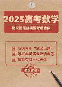 2025高考数学考前必刷卷之历届武汉调考经典卷合集含解析
