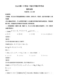 云南省文山市第一中学2024-2025学年高一下学期开学考试 数学试题（含解析）