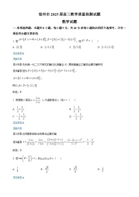 安徽省宿州市2024-2025学年高三上学期期末考试数学试题（Word版附解析）