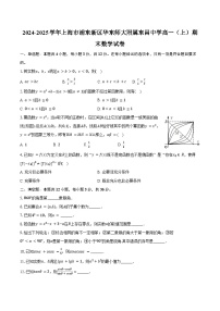 2024-2025学年上海市浦东新区华东师大附属东昌中学高一（上）期末数学试卷（含答案）