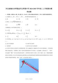 河北省衡水市枣强县河北枣强中学2024-2025学年高二上学期期末数学试卷（含答案）
