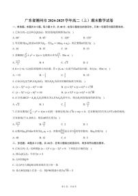 广东省潮州市2024-2025学年高二（上）期末数学试卷（含答案）