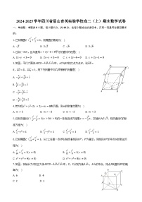 2024-2025学年四川省眉山育英实验学校高二（上）期末数学试卷（含答案）