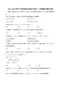 2024-2025学年广东省深圳市高级中学高二上学期期末数学试卷(含答案)