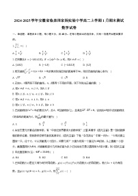 2024-2025学年安徽省临泉田家炳实验中学高二上学期1月期末测试数学试卷（含答案）