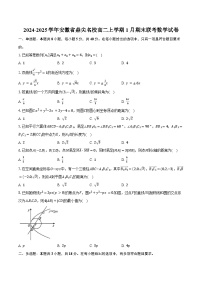 2024-2025学年安徽省鼎尖名校高二上学期1月期末联考数学试卷（含答案）