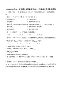 2024-2025学年上海交通大学附属中学高二上学期期末考试数学试卷（含答案）