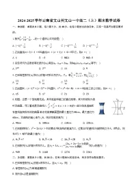 2024-2025学年云南省文山州文山一中高二（上）期末数学试卷（含答案）
