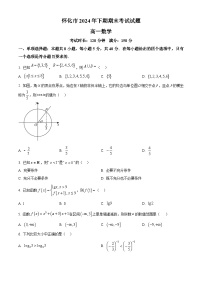 湖南省怀化市2024-2025学年高一上学期期末考试数学试题（Word版附解析）