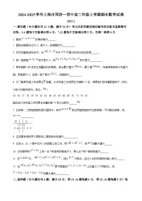 上海市同济大学第一附属中学2024-2025学年高二上学期期末考试数学试题（原卷版+解析版）