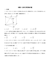 新高考数学三轮冲刺压轴小题分类训练专题5 立体几何压轴小题（2份，原卷版+解析版）