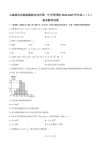 云南省西双版纳傣族自治州第一中学等四校2024-2025学年高二（上）期末数学试卷（含答案）