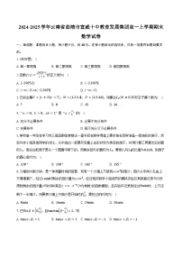 2024-2025学年云南省曲靖市宣威十中教育发展集团高一上学期期末考试数学试卷（含答案）