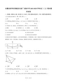 安徽省蚌埠市固镇县毛钽厂实验中学2024-2025学年高二（上）期末数学试卷（含答案）