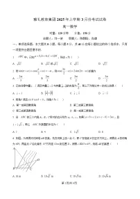 湖南省长沙市雅礼教育集团2024-2025学年高一下学期3月月考数学试卷（Word版附解析）
