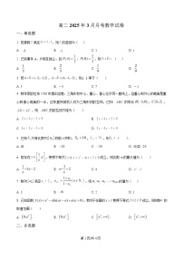 湖北省武汉市第一中学2024-2025学年高二下学期3月月考数学试卷（Word版附解析）