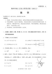 数学-2025届广东省梅州市高三下学期总复习质检试卷【含答案】