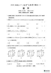 数学丨湖南省“一起考”2025届高三下学期3月大联考（一模）数学试卷及答案