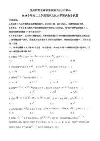贵州省黔东南苗族侗族自治州2024-2025学年高二上学期期末文化水平测试数学试题（含答案）