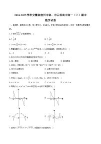 2024-2025学年安徽省宿州市省、市示范高中高一（上）期末数学试卷（含答案）
