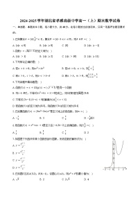 2024-2025学年湖北省孝感高级中学高一（上）期末数学试卷（含答案）