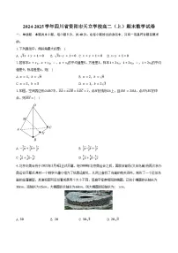 2024-2025学年四川省资阳市天立学校高二（上）期末数学试卷（含答案）