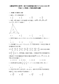 安徽省智学大联考—皖中名校联盟合肥八中2024−2025学年高二上学期1月期末数学试题