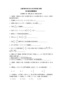 上海市行知中学2024-2025学年高三下学期3月质量调研数学试卷