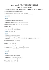 上海市杨浦高级中学2024-2025学年高三下学期期初摸底考数学试卷（解析版）