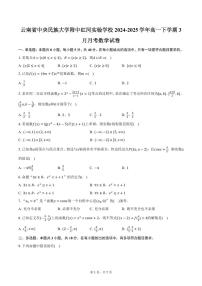 云南省中央民族大学附中红河实验学校2024-2025学年高一下学期3月月考数学试卷（含答案）