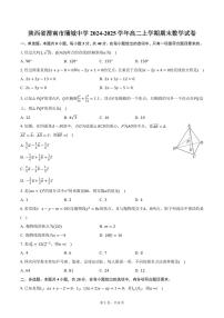 陕西省渭南市蒲城中学2024-2025学年高二上学期期末数学试卷（含答案）