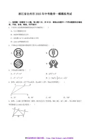 2025年浙江省台州市中考数学[高考]一模模拟考试试卷(含答案)