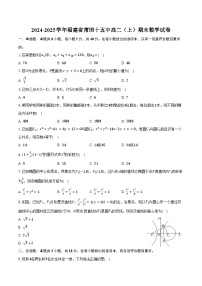 2024-2025学年福建省莆田十五中高二（上）期末数学试卷（含答案）