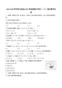 2024-2025学年四川省眉山市仁寿县铧强中学高一（上）期末数学试卷（含答案）