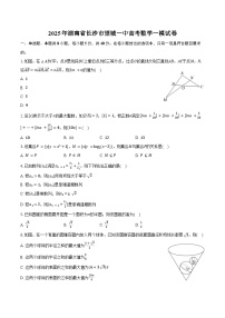 2025年湖南省长沙市望城一中高考数学一模试卷（含答案）