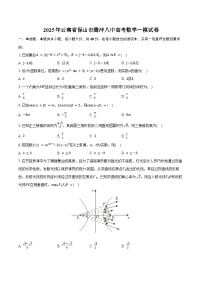 2025年云南省保山市腾冲八中高考数学一模试卷（含答案）