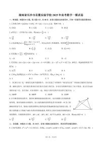 湖南省长沙市岳麓实验学校2025年高考数学一模试卷（含答案）