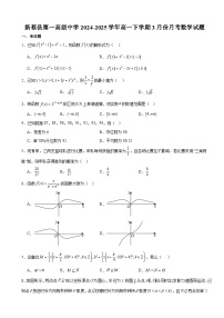 河南省驻马店市新蔡县第一高级中学2024-2025学年高一下学期3月月考 数学试题（含解析）