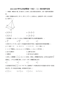 2024-2025学年山东省郓城一中高二（上）期末数学试卷（含答案）