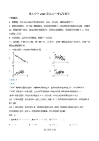 湖南省长沙市雅礼中学2025届高三下学期一模数学试题 含解析