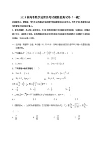 2025届高考数学适应性考试模拟检测试卷（一模）附答案
